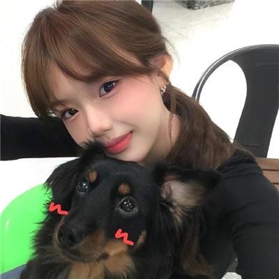 忠犬流浪记